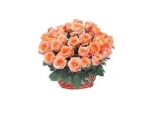 Expression - 24 Stems In Basket